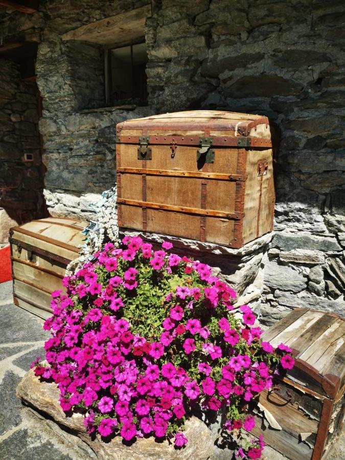 Maison Le Cler Valtournenche Dış mekan fotoğraf
